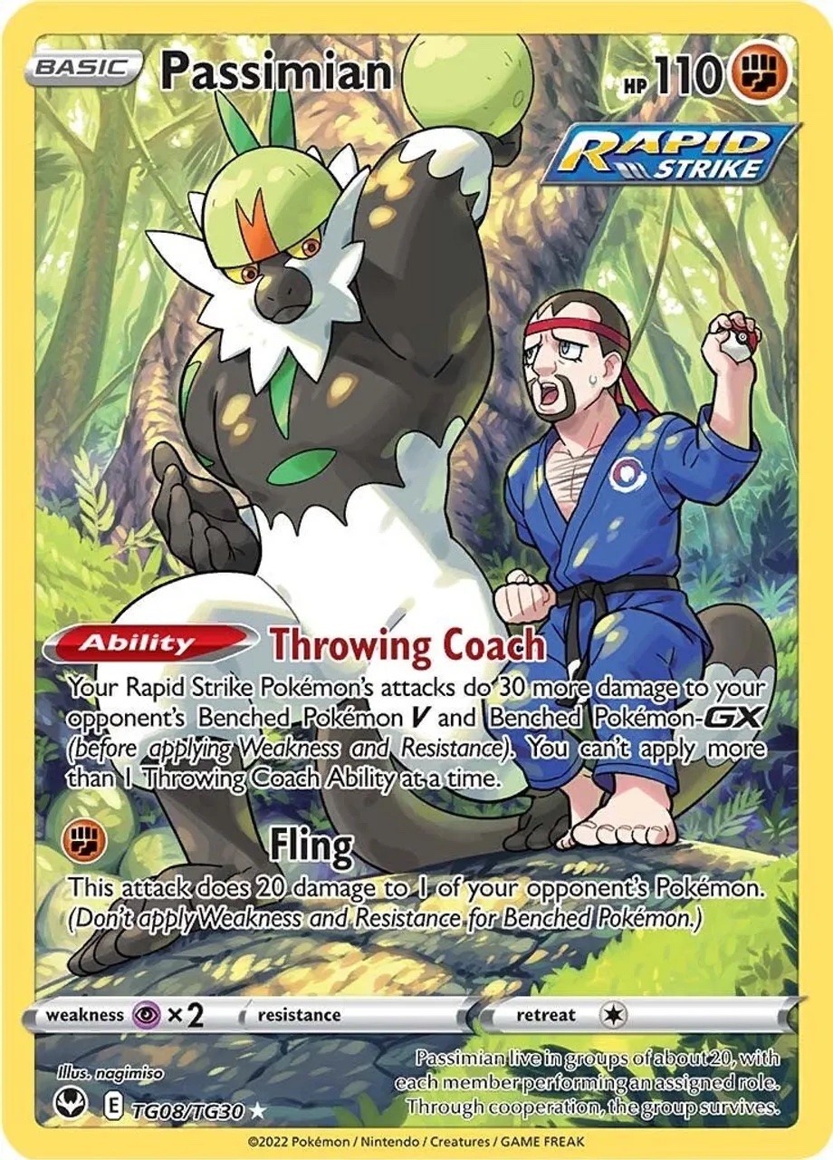 Passimian - TG08/TG30: Silver Tempest Trainer Gallery
