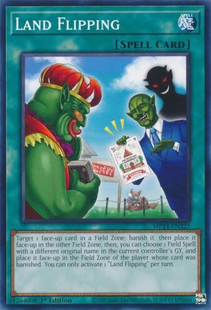 Land Flipping - 25th Anniversary Tin: Dueling Mirrors