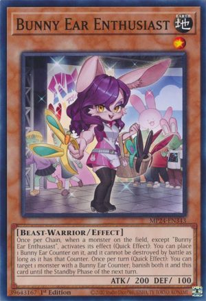 Bunny Ear Enthusiast - 25th Anniversary Tin: Dueling Mirrors