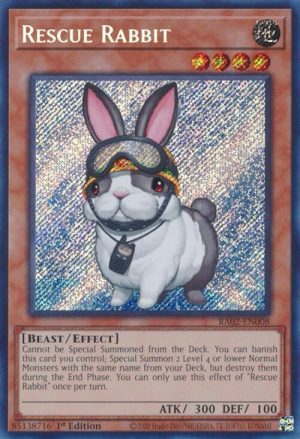 Rescue Rabbit (Secret Rare) - RA02-EN008: 25th Anniversary Rarity Collection II