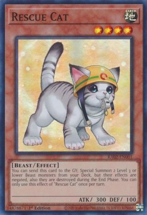Rescue Cat (Alternate Art) - RA02-EN001: 25th Anniversary Rarity Collection II