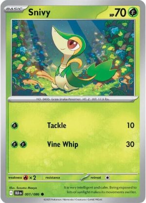 Snivy - 001/086: SV: Black Bolt