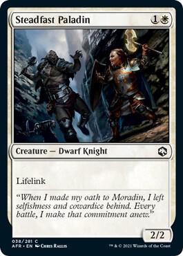 Steadfast Paladin - 38: Adventures in the Forgotten Realms