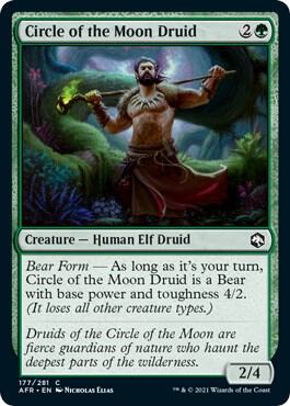 Circle of the Moon Druid - 177: Adventures in the Forgotten Realms