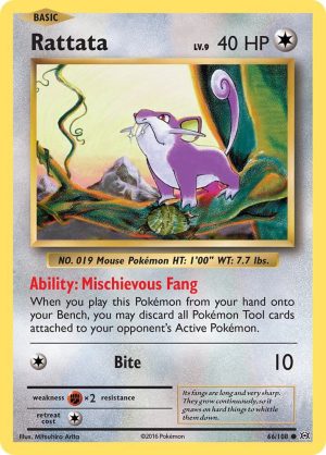 Rattata - 66/108: XY - Evolutions