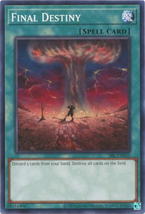 Final Destiny - SRL-EN035: Spell Ruler (25th Anniversary Edition)