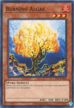 Burning Algae - IOC-EN062: Invasion of Chaos (25th Anniversary Edition)