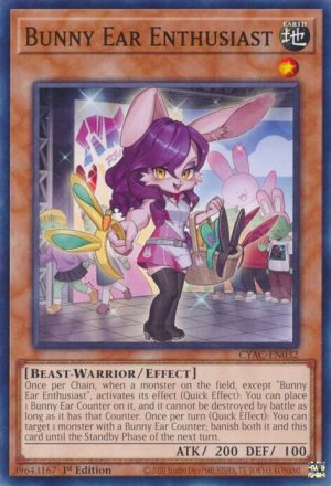 Bunny Ear Enthusiast - CYAC-EN032: Cyberstorm Access