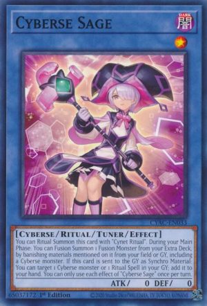 Cyberse Sage - CYAC-EN033: Cyberstorm Access