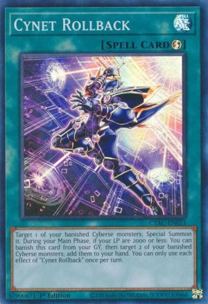 Cynet Rollback - CYAC-EN051: Cyberstorm Access