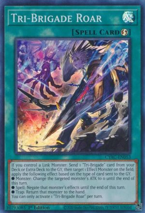 Tri - CYAC-EN053: Cyberstorm Access