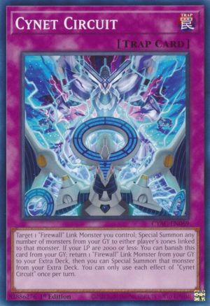 Cynet Circuit - CYAC-EN069: Cyberstorm Access
