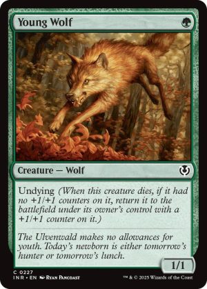 Young Wolf - 227: Innistrad Remastered