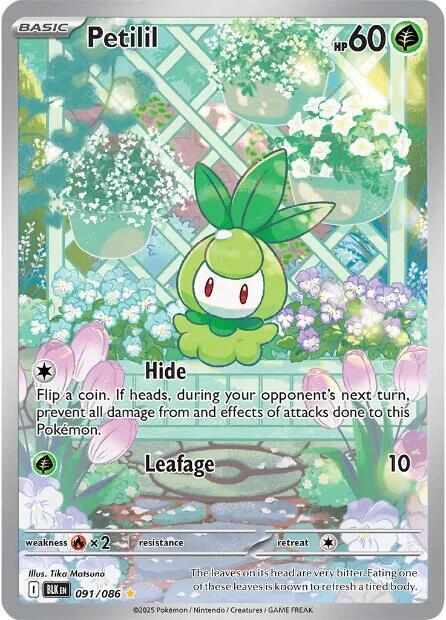 Petilil - 091/086 - 091/086: SV: Black Bolt