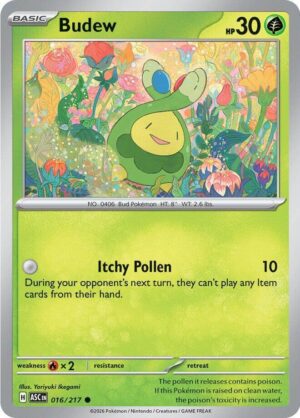 Budew - 016/217 - 016/217: ME: Ascended Heroes