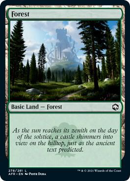 Forest (278) - 278: Adventures in the Forgotten Realms
