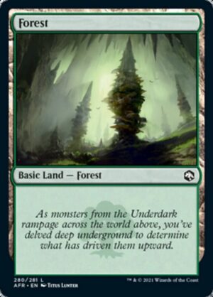 Forest (280) - 280: Adventures in the Forgotten Realms