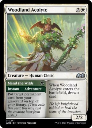 Woodland Acolyte // Mend the Wilds - 241: Wilds of Eldraine