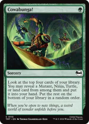 Cowabunga! - 113: Teenage Mutant Ninja Turtles
