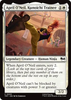 April O'Neil, Kunoichi Trainee - 3: Teenage Mutant Ninja Turtles