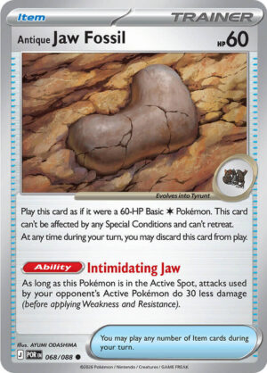 Antique Jaw Fossil - 068/088: ME03: Perfect Order
