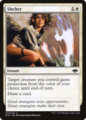 Shelter - 28: Modern Horizons
