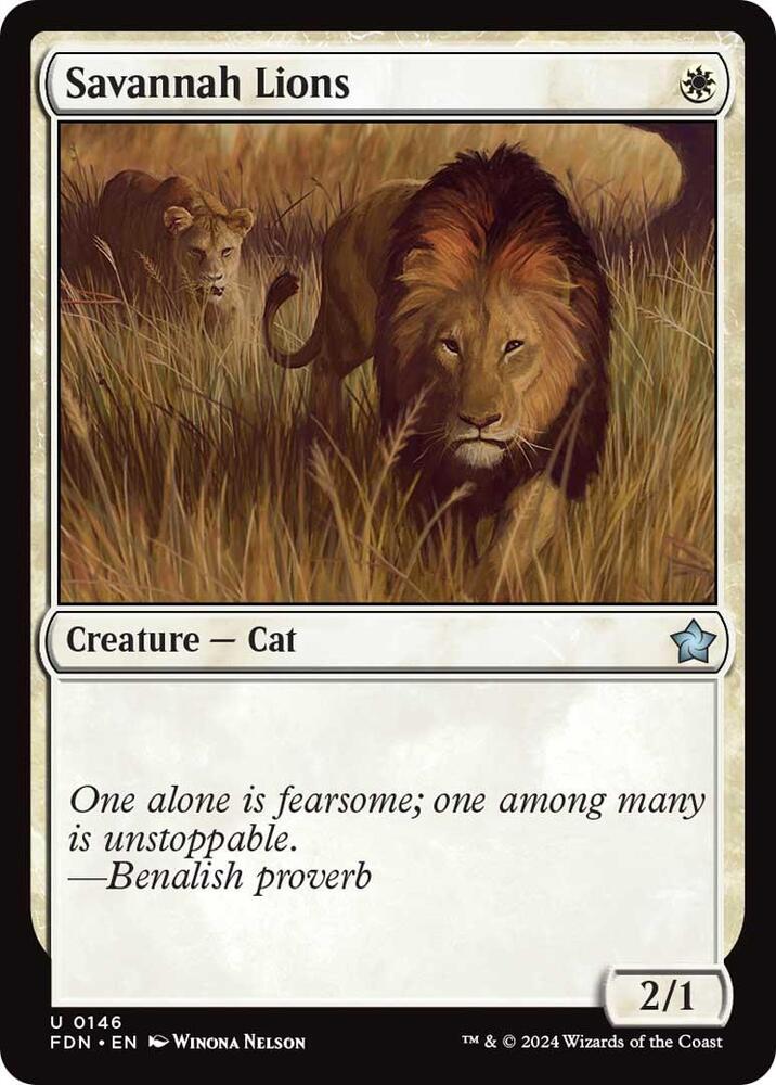 Savannah Lions - 146: Foundations