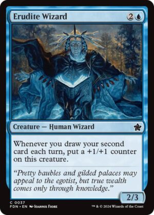 Erudite Wizard - 37: Foundations