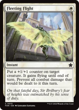 Fleeting Flight - 13: Foundations
