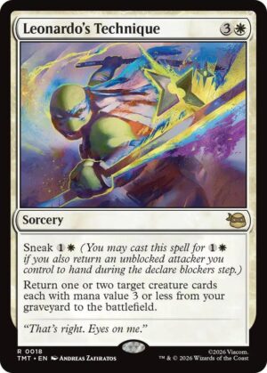 Leonardo's Technique - 18: Teenage Mutant Ninja Turtles