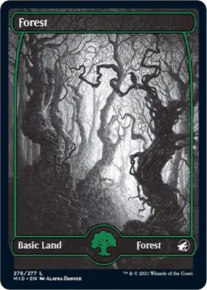 Forest (276) - 276: Innistrad: Midnight Hunt