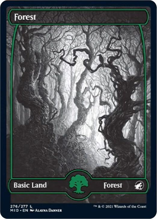 Forest (276) - 276: Innistrad: Midnight Hunt