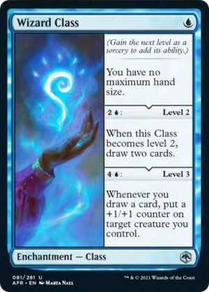 Wizard Class - 81: Adventures in the Forgotten Realms