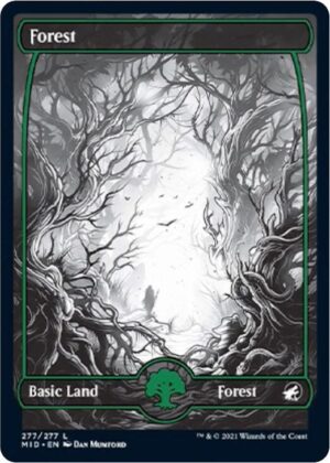 Forest (277) - 277: Innistrad: Midnight Hunt