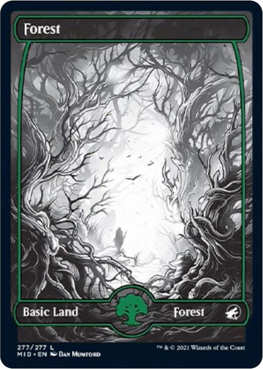 Forest (277) - 277: Innistrad: Midnight Hunt