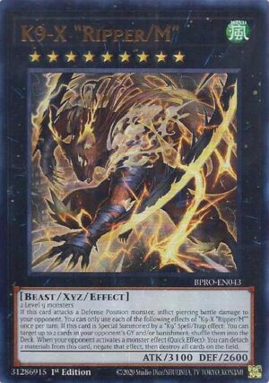 K9-X "Ripper/M" - BPRO-EN043: Burst Protocol